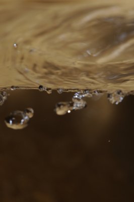 Plan d'eau_4334780932_l.jpg